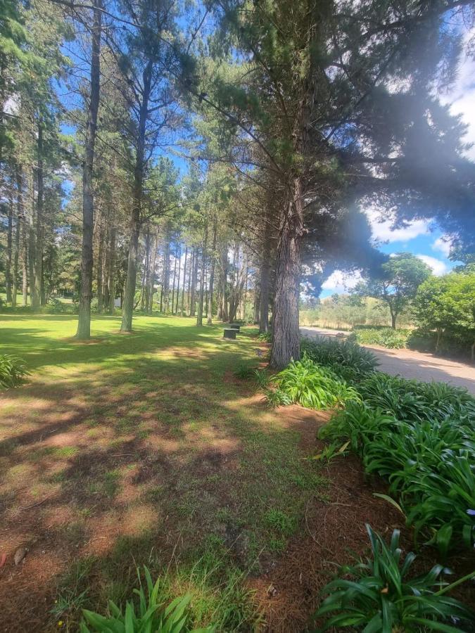 Savana Estate Poukawa Экстерьер фото