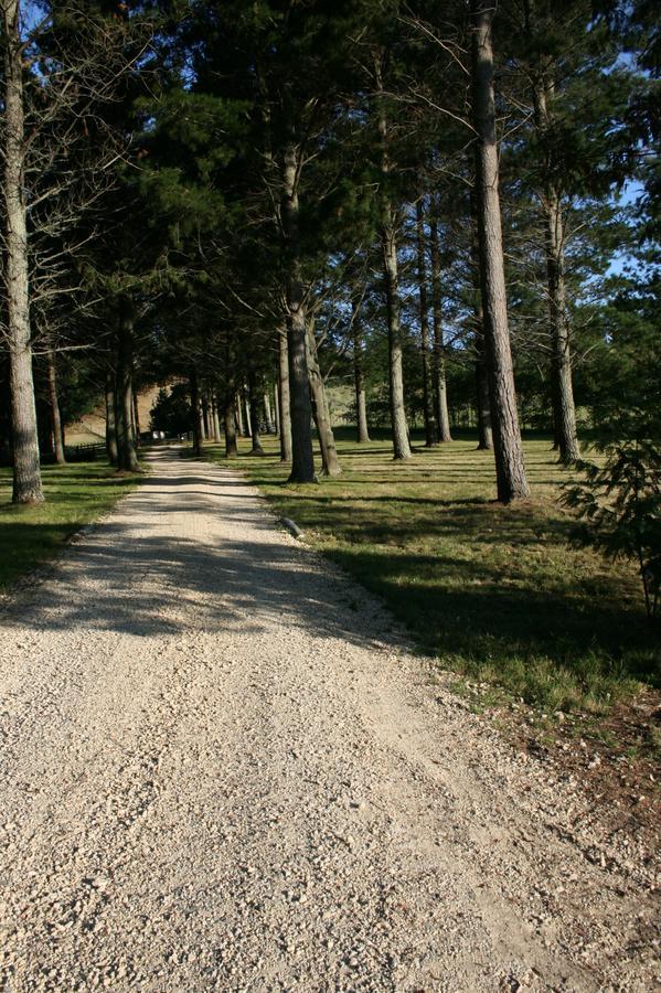 Savana Estate Poukawa Экстерьер фото